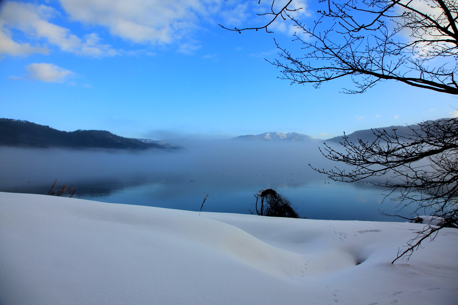 古代ロマンと神秘の湖 余呉湖の冬景色 ゴリの写真館