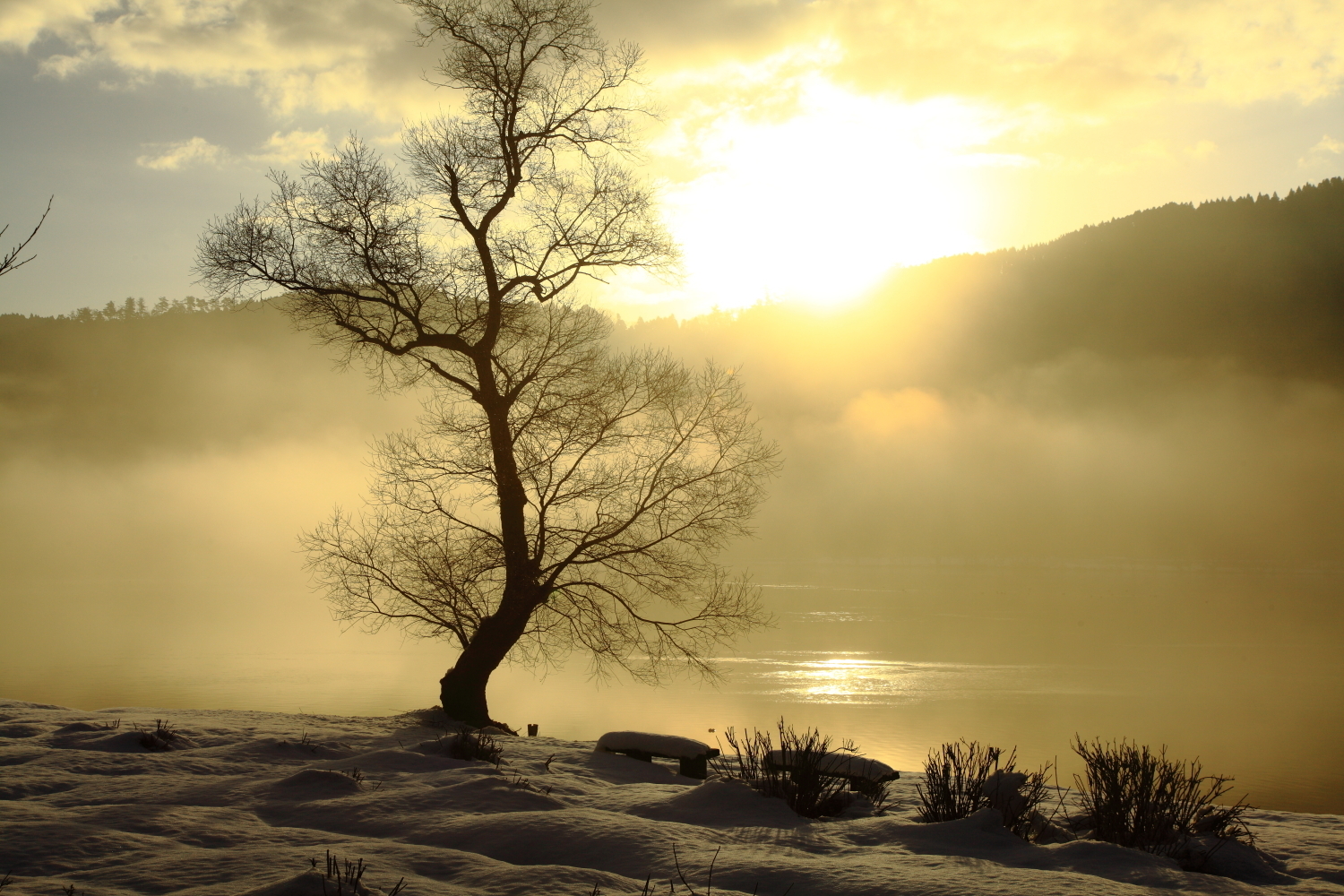 冬の余呉湖の幻想的な風景ゲット まさに神秘の湖 ゴリの写真館