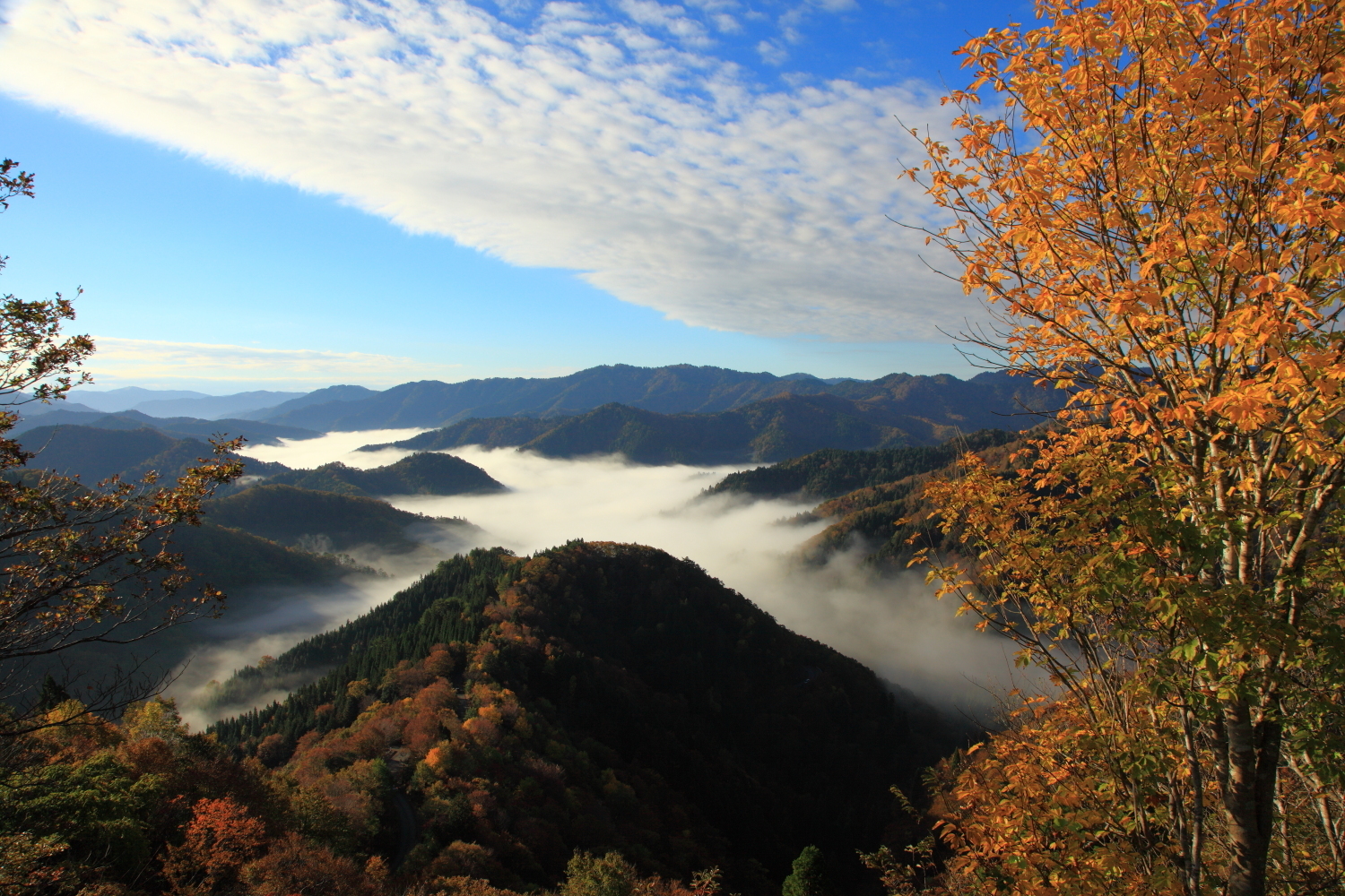 雲海の名所となった「小入谷」へ: ゴリの写真館