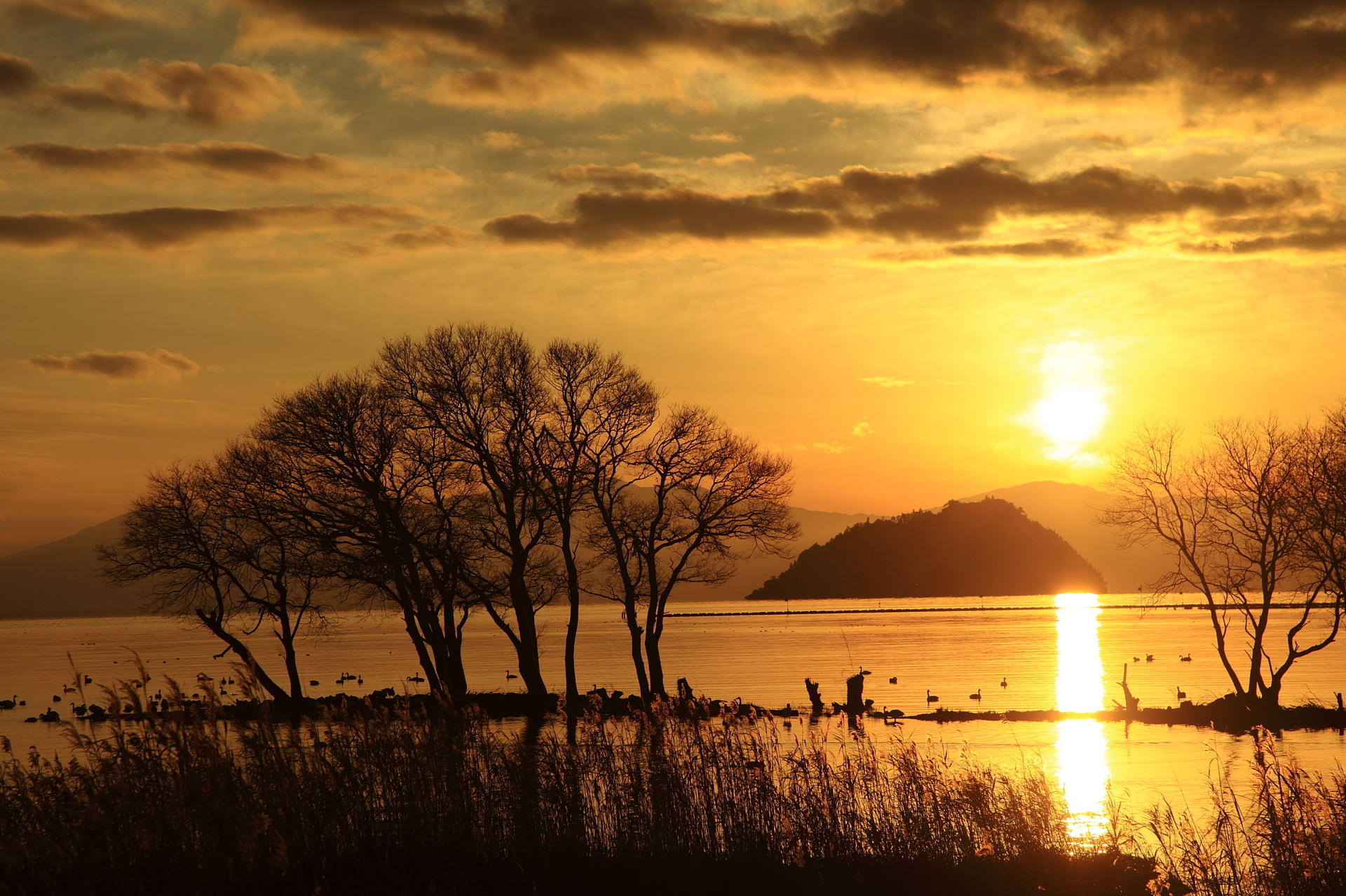 【正規品質保証】 絶景空撮「びわ湖の夕焼け」: ゴリの写真館 絵画