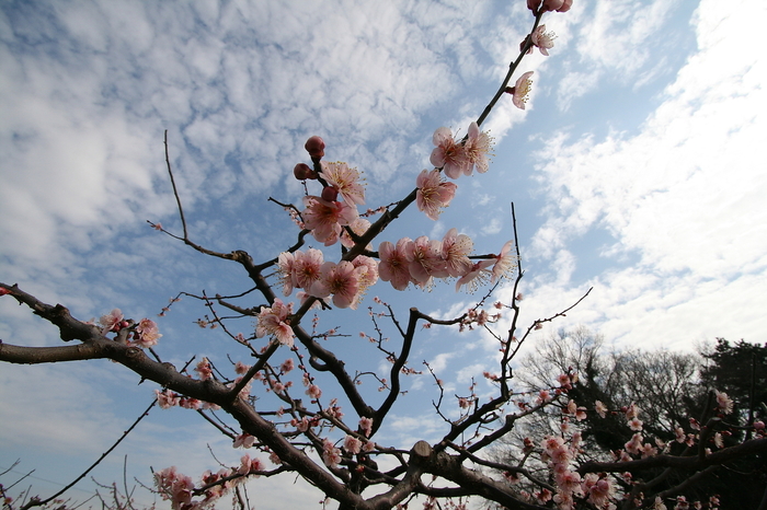 画像1 041.jpg