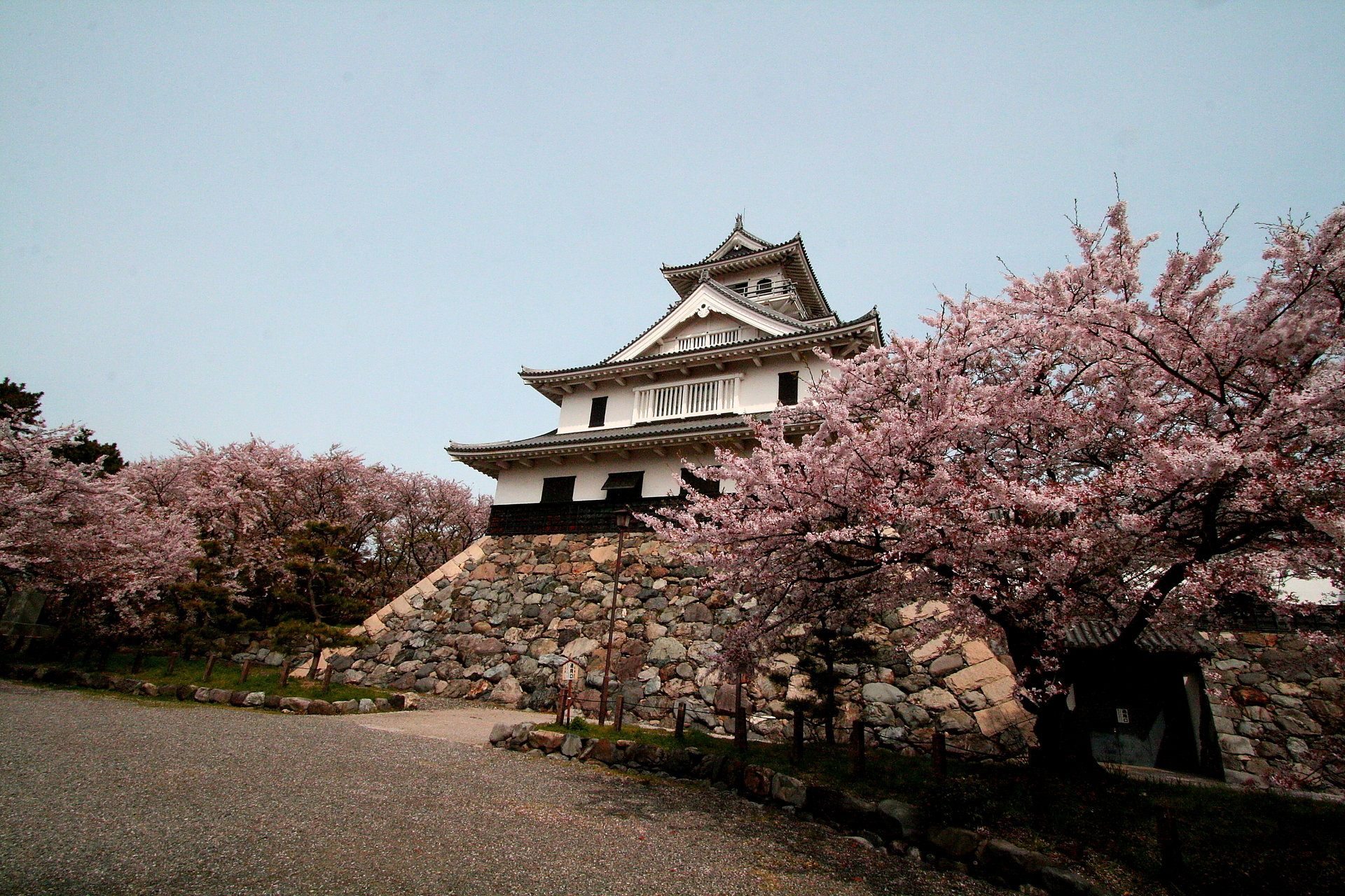 桜百選の地 豊公園 を眺める ドローン空撮 ゴリの写真館